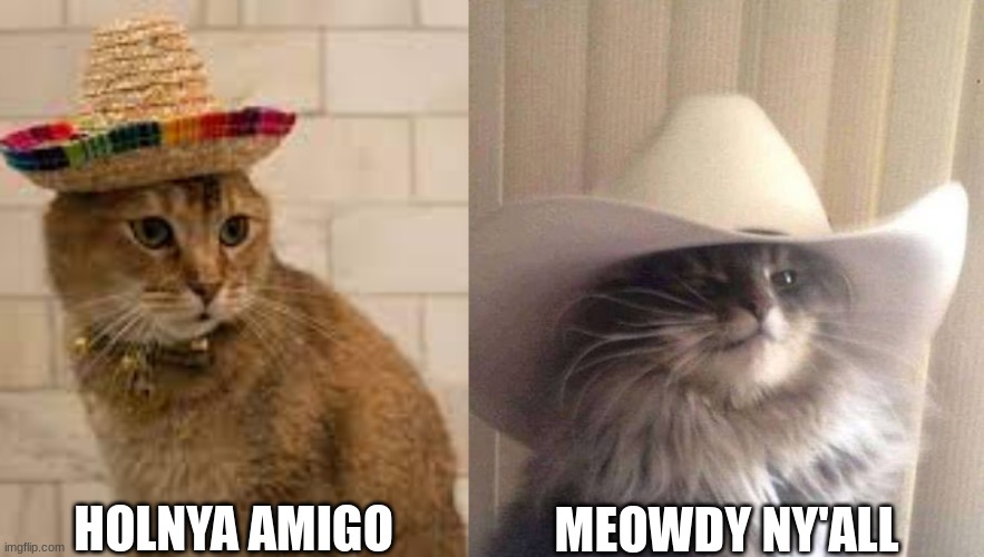 and now I leave | HOLNYA AMIGO; MEOWDY NY'ALL | image tagged in meowdy | made w/ Imgflip meme maker