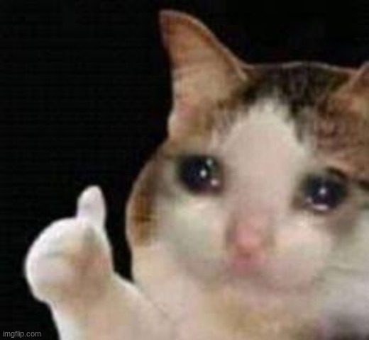 Approved crying cat | image tagged in approved crying cat | made w/ Imgflip meme maker