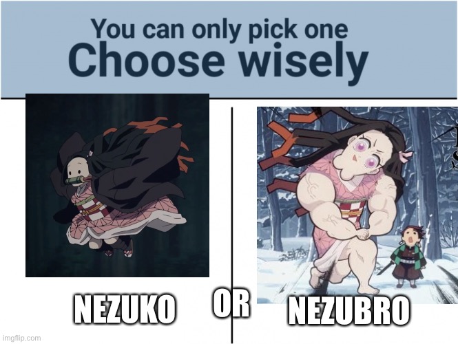 Waht | NEZUBRO; OR; NEZUKO | image tagged in you can pick only one choose wisely | made w/ Imgflip meme maker