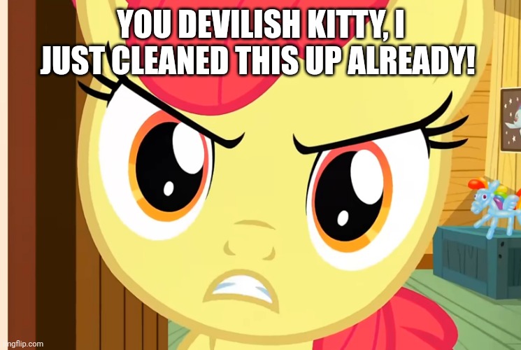 Apple Bloom is Pissed (MLP) | YOU DEVILISH KITTY, I JUST CLEANED THIS UP ALREADY! | image tagged in apple bloom is pissed mlp | made w/ Imgflip meme maker