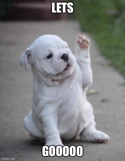 Puppy High Five  | LETS GOOOOO | image tagged in puppy high five | made w/ Imgflip meme maker