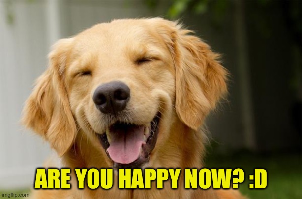 Happy Dog | ARE YOU HAPPY NOW? :D | image tagged in happy dog | made w/ Imgflip meme maker