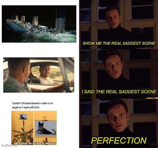 perfection | SHOW ME THE REAL SADDEST SCENE I SAID THE REAL SADDEST SCENE PERFECTION | image tagged in perfection | made w/ Imgflip meme maker