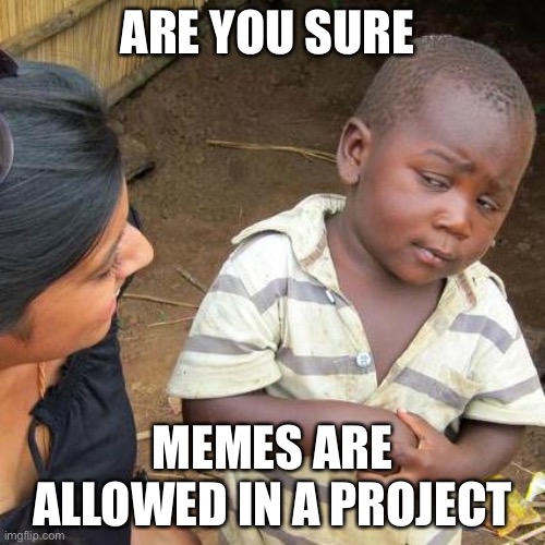 Third World Skeptical Kid Meme | ARE YOU SURE; MEMES ARE ALLOWED IN A PROJECT | image tagged in memes,third world skeptical kid | made w/ Imgflip meme maker