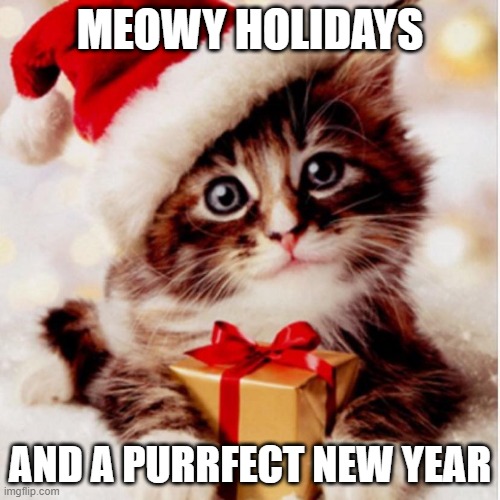 meowy holidays | MEOWY HOLIDAYS; AND A PURRFECT NEW YEAR | image tagged in meow,merry christmas | made w/ Imgflip meme maker