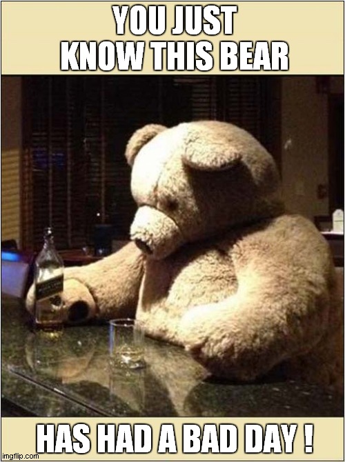 A Hard Life For Teddy ! | YOU JUST KNOW THIS BEAR; HAS HAD A BAD DAY ! | image tagged in fun,teddy bear,drinking | made w/ Imgflip meme maker