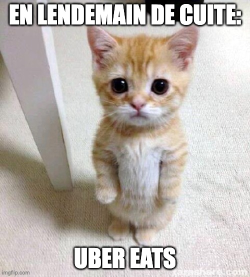 Cute Cat | EN LENDEMAIN DE CUITE:; UBER EATS | image tagged in memes,cute cat | made w/ Imgflip meme maker