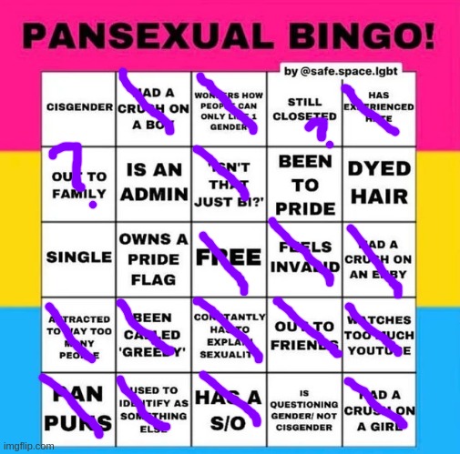 ok the two with the ? is kinda | image tagged in pansexual bingo | made w/ Imgflip meme maker