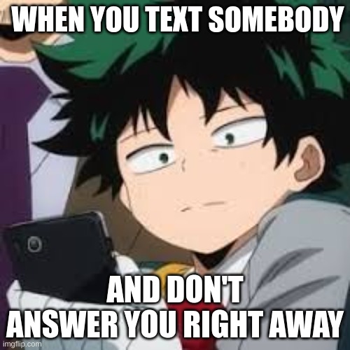 Dissapointment | WHEN YOU TEXT SOMEBODY; AND DON'T ANSWER YOU RIGHT AWAY | image tagged in deku dissapointed | made w/ Imgflip meme maker