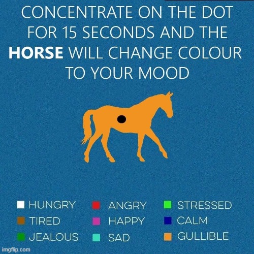 image tagged in funny | made w/ Imgflip meme maker