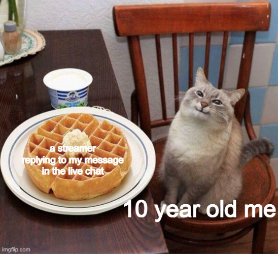 i still do feel nice when they do :D |  a streamer
replying to my message
in the live chat; 10 year old me | image tagged in pancake cat | made w/ Imgflip meme maker