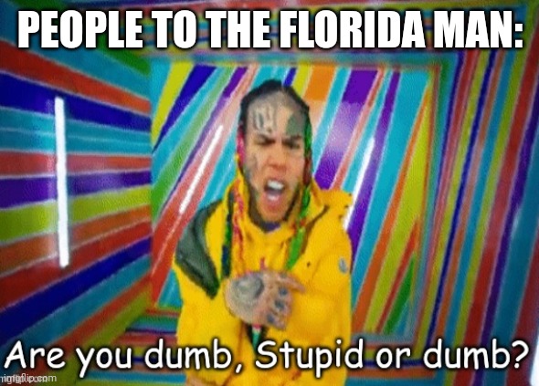 Are you dumb stupid or dumb? | PEOPLE TO THE FLORIDA MAN: | image tagged in are you dumb stupid or dumb | made w/ Imgflip meme maker