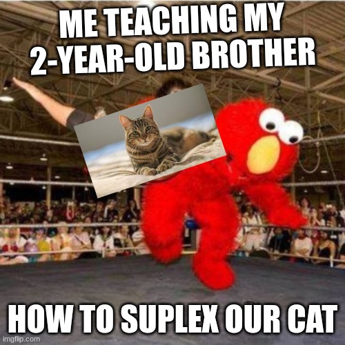 Elmo wrestling |  ME TEACHING MY 2-YEAR-OLD BROTHER; HOW TO SUPLEX OUR CAT | image tagged in elmo wrestling | made w/ Imgflip meme maker