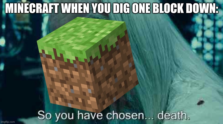 Digging down | MINECRAFT WHEN YOU DIG ONE BLOCK DOWN: | image tagged in so you have chosen death | made w/ Imgflip meme maker