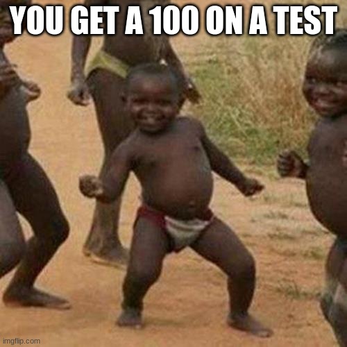 E | YOU GET A 100 ON A TEST | image tagged in memes,third world success kid | made w/ Imgflip meme maker