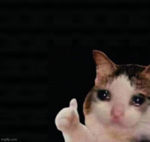Thumbs up crying cat | image tagged in thumbs up crying cat | made w/ Imgflip meme maker