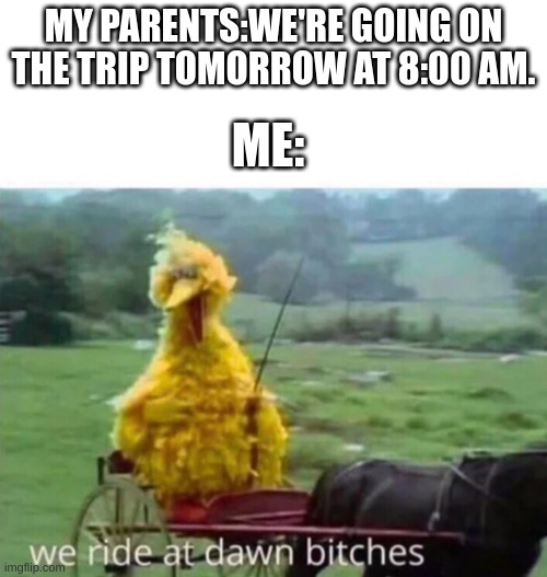 WE RIDE AT DAWN! | MY PARENTS:WE'RE GOING ON THE TRIP TOMORROW AT 8:00 AM. ME: | image tagged in big,bird,can,do a,flip | made w/ Imgflip meme maker