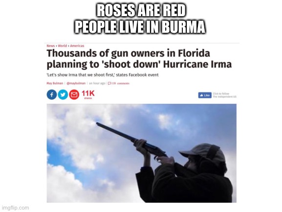 Oh yeah that makes sense | ROSES ARE RED
PEOPLE LIVE IN BURMA | image tagged in memes,wierd,hurricane irma,why,dumb,oh wow are you actually reading these tags | made w/ Imgflip meme maker