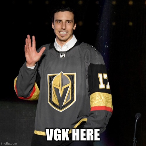 Fleury Golden Knights | VGK HERE | image tagged in fleury golden knights | made w/ Imgflip meme maker