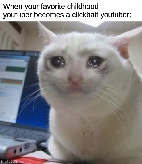 ladsk | When your favorite childhood youtuber becomes a clickbait youtuber: | image tagged in crying cat,lol,erer,o,re,a | made w/ Imgflip meme maker