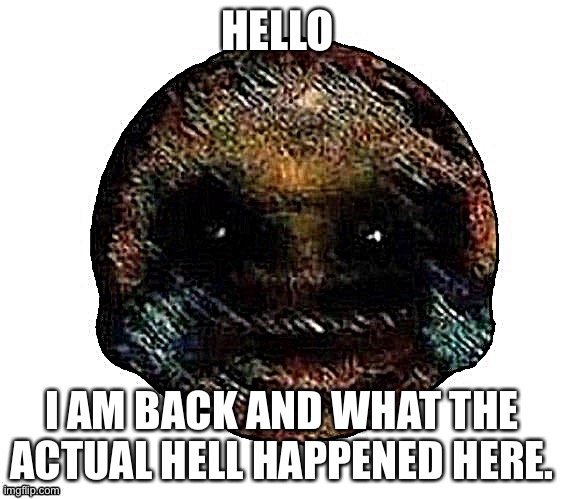 Dark humor is when | HELLO; I AM BACK AND WHAT THE ACTUAL HELL HAPPENED HERE. | image tagged in dark humor is when | made w/ Imgflip meme maker