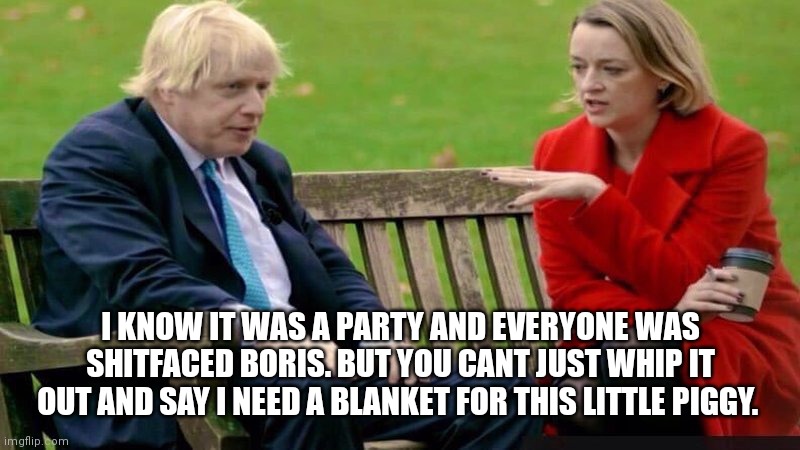 Boris Johnson on the bench | I KNOW IT WAS A PARTY AND EVERYONE WAS SHITFACED BORIS. BUT YOU CANT JUST WHIP IT OUT AND SAY I NEED A BLANKET FOR THIS LITTLE PIGGY. | image tagged in boris johnson on the bench | made w/ Imgflip meme maker