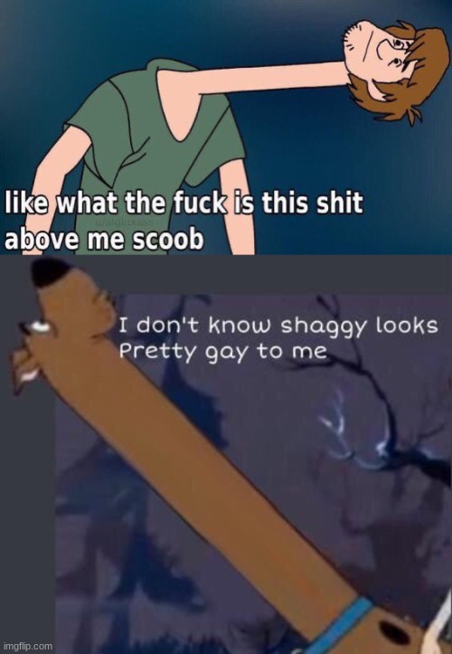 image tagged in shaggy long neck,i dont know shaggy looks pretty gay to me | made w/ Imgflip meme maker