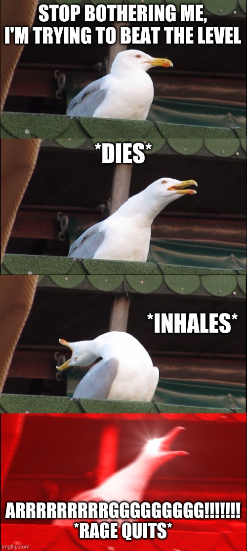 This was me at one point | STOP BOTHERING ME, I'M TRYING TO BEAT THE LEVEL; *DIES*; *INHALES*; ARRRRRRRRRGGGGGGGGG!!!!!!! *RAGE QUITS* | image tagged in memes,inhaling seagull | made w/ Imgflip meme maker