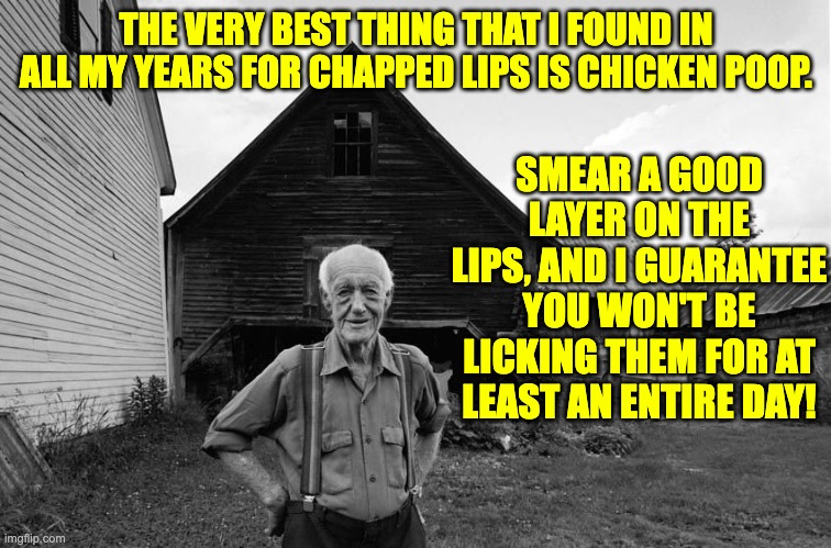 Chapped | THE VERY BEST THING THAT I FOUND IN ALL MY YEARS FOR CHAPPED LIPS IS CHICKEN POOP. SMEAR A GOOD LAYER ON THE LIPS, AND I GUARANTEE YOU WON'T BE LICKING THEM FOR AT LEAST AN ENTIRE DAY! | image tagged in old farmer | made w/ Imgflip meme maker