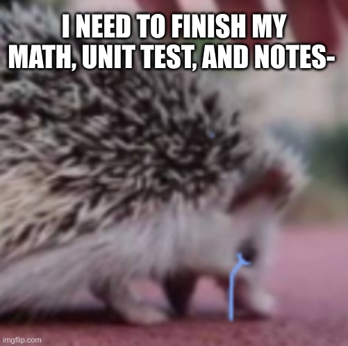 f u c k . | I NEED TO FINISH MY MATH, UNIT TEST, AND NOTES- | image tagged in s a d | made w/ Imgflip meme maker