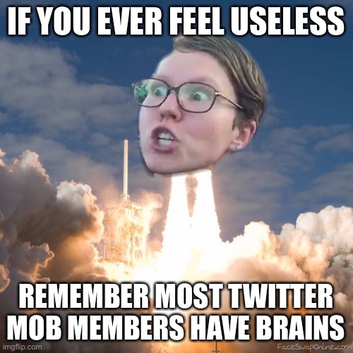 this is true tho, they really don’t use ‘em much | IF YOU EVER FEEL USELESS; REMEMBER MOST TWITTER MOB MEMBERS HAVE BRAINS | image tagged in triggered flightith,funny,twitter,roast,if you ever feel useless | made w/ Imgflip meme maker