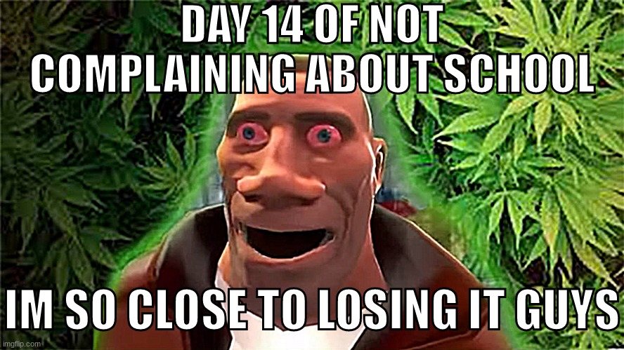 80% of msmemer | DAY 14 OF NOT COMPLAINING ABOUT SCHOOL; IM SO CLOSE TO LOSING IT GUYS | image tagged in soldier high | made w/ Imgflip meme maker
