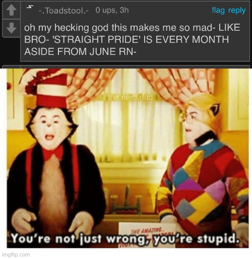 OMG EVERY OTHER MONTH IS STRAIGHT PRIDE!!!!!!! | image tagged in you're not just wrong your stupid,funny | made w/ Imgflip meme maker
