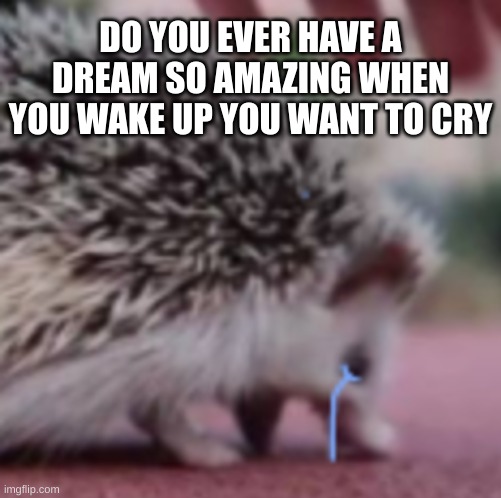 S a d | DO YOU EVER HAVE A DREAM SO AMAZING WHEN YOU WAKE UP YOU WANT TO CRY | image tagged in s a d | made w/ Imgflip meme maker