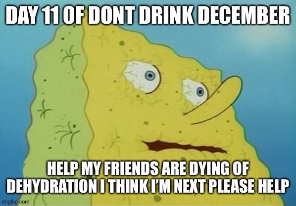 Dehydrated SpongeBob | DAY 11 OF DONT DRINK DECEMBER; HELP MY FRIENDS ARE DYING OF DEHYDRATION I THINK I’M NEXT PLEASE HELP | image tagged in dehydrated spongebob | made w/ Imgflip meme maker