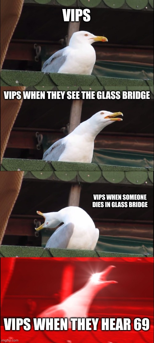 the vips in squid game | VIPS; VIPS WHEN THEY SEE THE GLASS BRIDGE; VIPS WHEN SOMEONE DIES IN GLASS BRIDGE; VIPS WHEN THEY HEAR 69 | image tagged in memes,inhaling seagull | made w/ Imgflip meme maker