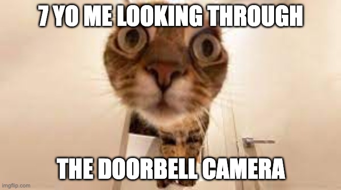 POV: ur doorbell camera | 7 YO ME LOOKING THROUGH; THE DOORBELL CAMERA | image tagged in memes,funny,cat,pov,relatable,jackalopianswhereuat | made w/ Imgflip meme maker