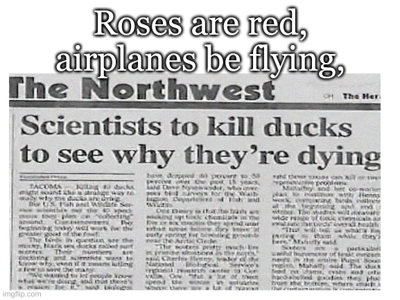 roses are red | Roses are red,
airplanes be flying, | image tagged in roses are red | made w/ Imgflip meme maker