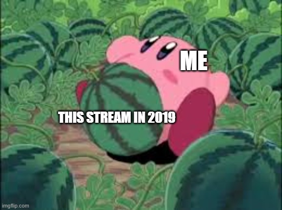 Not watermelon kirby | ME; THIS STREAM IN 2019 | image tagged in not watermelon kirby | made w/ Imgflip meme maker