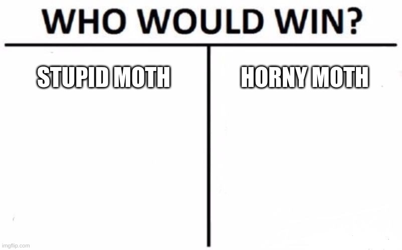 BATTLE O' THE CENTURY | STUPID MOTH; HORNY MOTH | made w/ Imgflip meme maker