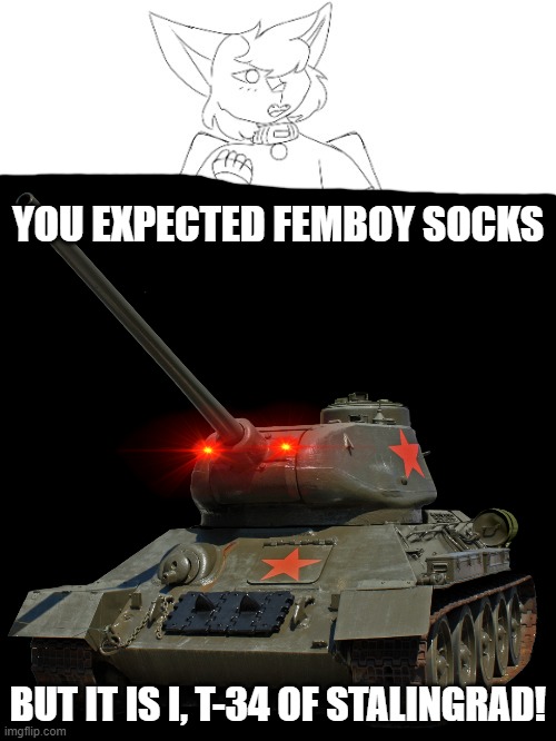 e. | YOU EXPECTED FEMBOY SOCKS; BUT IT IS I, T-34 OF STALINGRAD! | image tagged in i just found this temp,so i did a little trolling | made w/ Imgflip meme maker