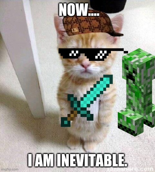 meme | NOW.... I AM INEVITABLE. | image tagged in memes,cute cat,funny memes,funny | made w/ Imgflip meme maker