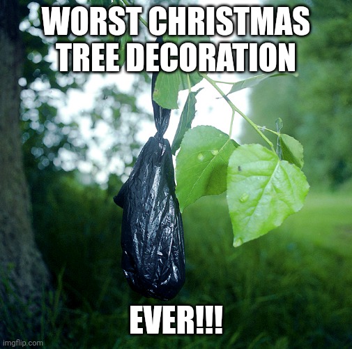 Dog poop is the worst Christmas tree decoration | WORST CHRISTMAS TREE DECORATION; EVER!!! | image tagged in dog,poop,tree,christmas,christmas decorations | made w/ Imgflip meme maker