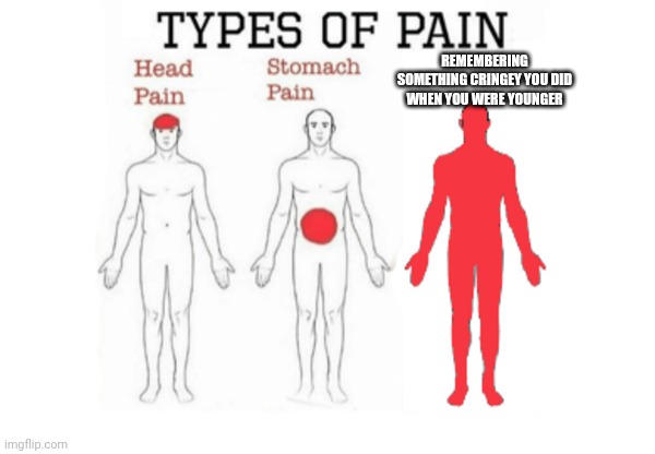 Types of Pain | REMEMBERING SOMETHING CRINGEY YOU DID WHEN YOU WERE YOUNGER | image tagged in types of pain | made w/ Imgflip meme maker