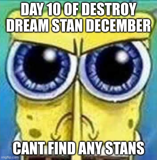 grrrrrrr!Rr1r1111!!1!1!!!!!1! | DAY 10 OF DESTROY DREAM STAN DECEMBER; CANT FIND ANY STANS | made w/ Imgflip meme maker