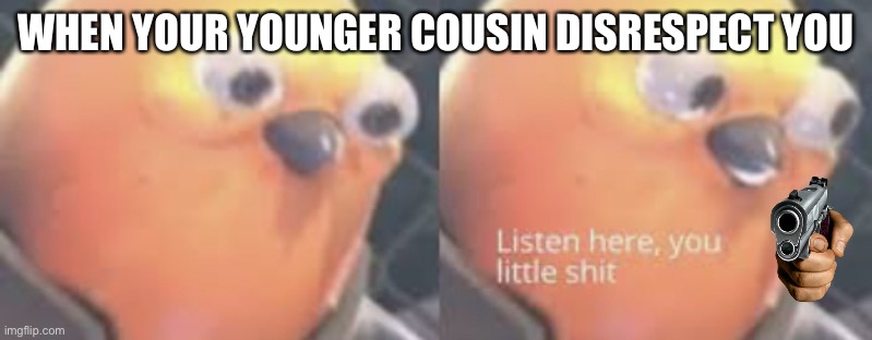 Listen here you little shit | WHEN YOUR YOUNGER COUSIN DISRESPECT YOU | image tagged in listen here you little shit bird | made w/ Imgflip meme maker