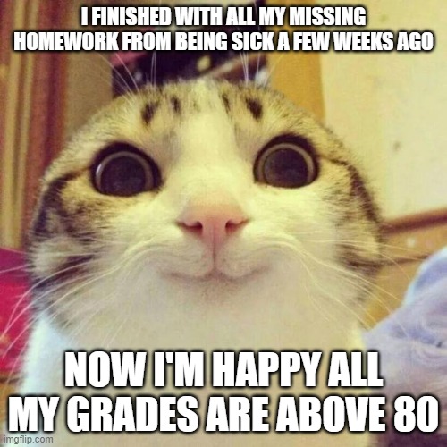 Smiling Cat | I FINISHED WITH ALL MY MISSING HOMEWORK FROM BEING SICK A FEW WEEKS AGO; NOW I'M HAPPY ALL MY GRADES ARE ABOVE 80 | image tagged in memes,smiling cat | made w/ Imgflip meme maker
