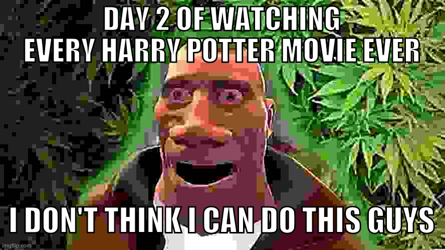 Soldier high | DAY 2 OF WATCHING EVERY HARRY POTTER MOVIE EVER; I DON'T THINK I CAN DO THIS GUYS | image tagged in soldier high | made w/ Imgflip meme maker