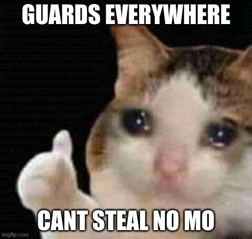 Sugar Act? | GUARDS EVERYWHERE; CANT STEAL NO MO | image tagged in sad thumbs up cat | made w/ Imgflip meme maker