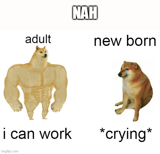 *untitled image* | NAH; adult; new born; i can work; *crying* | image tagged in memes,buff doge vs cheems | made w/ Imgflip meme maker